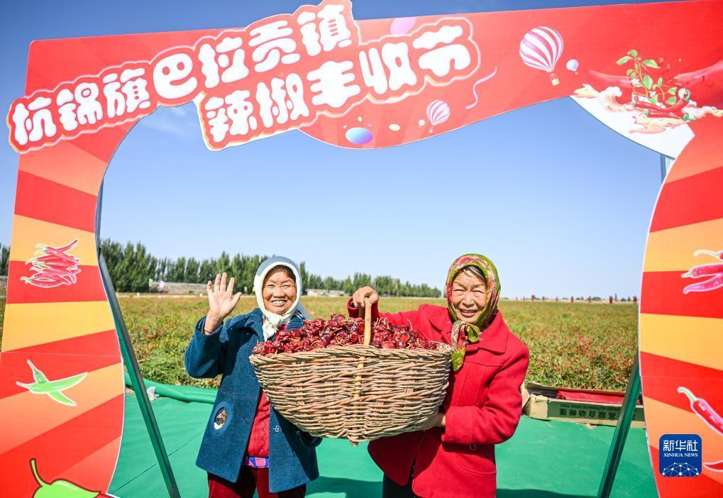 哪个平台有绑卡的信息
